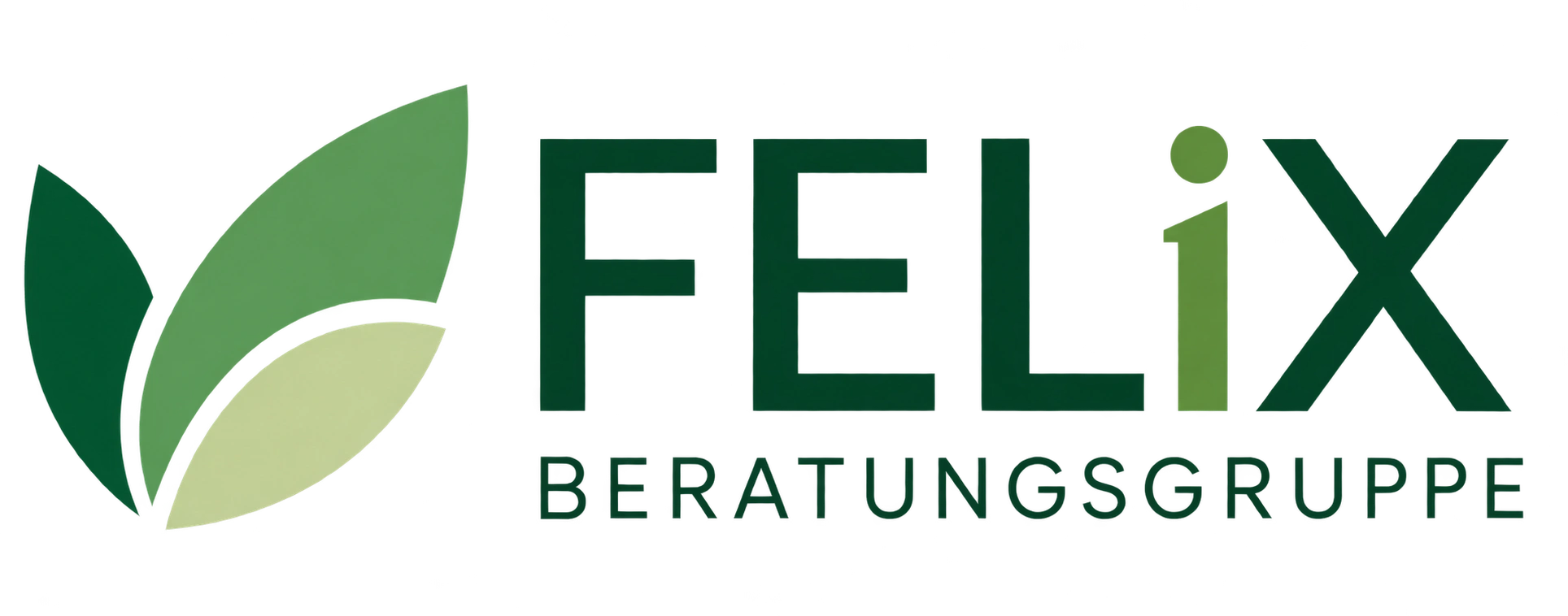 FELiX Beratungsgruppe.at OG